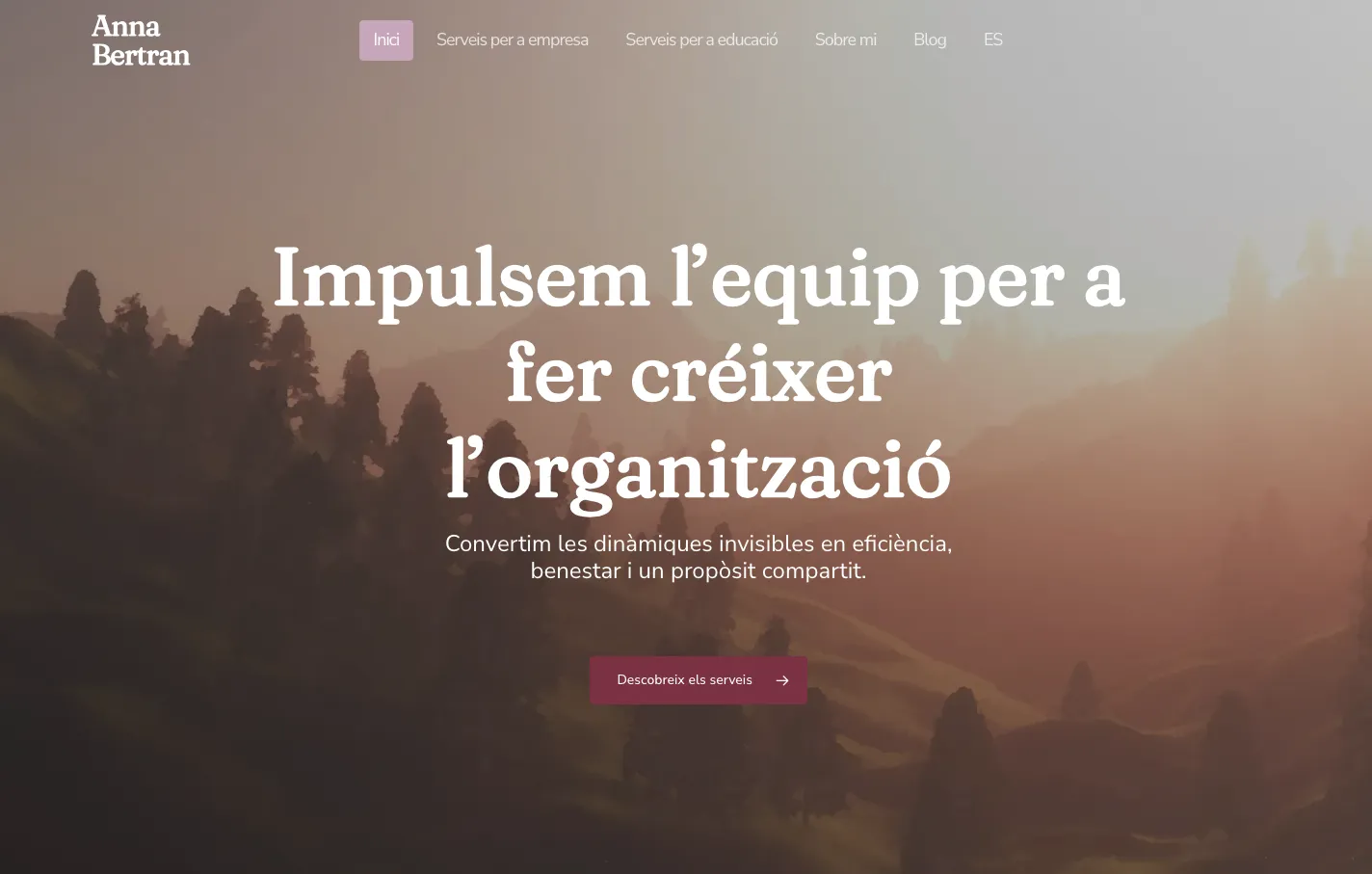 Desenvolupament d’equips i cultura organitzacional