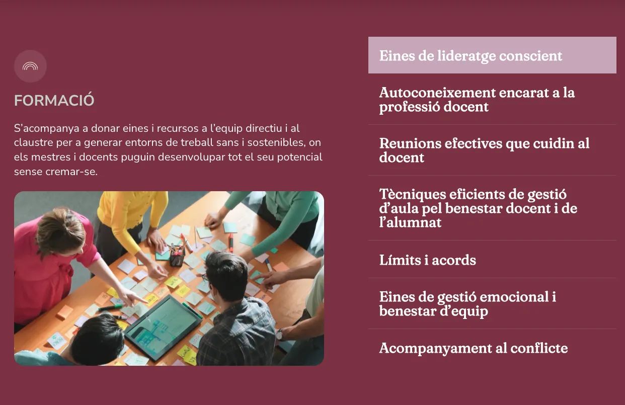 Desenvolupament d’equips i cultura organitzacional - Imatge 2